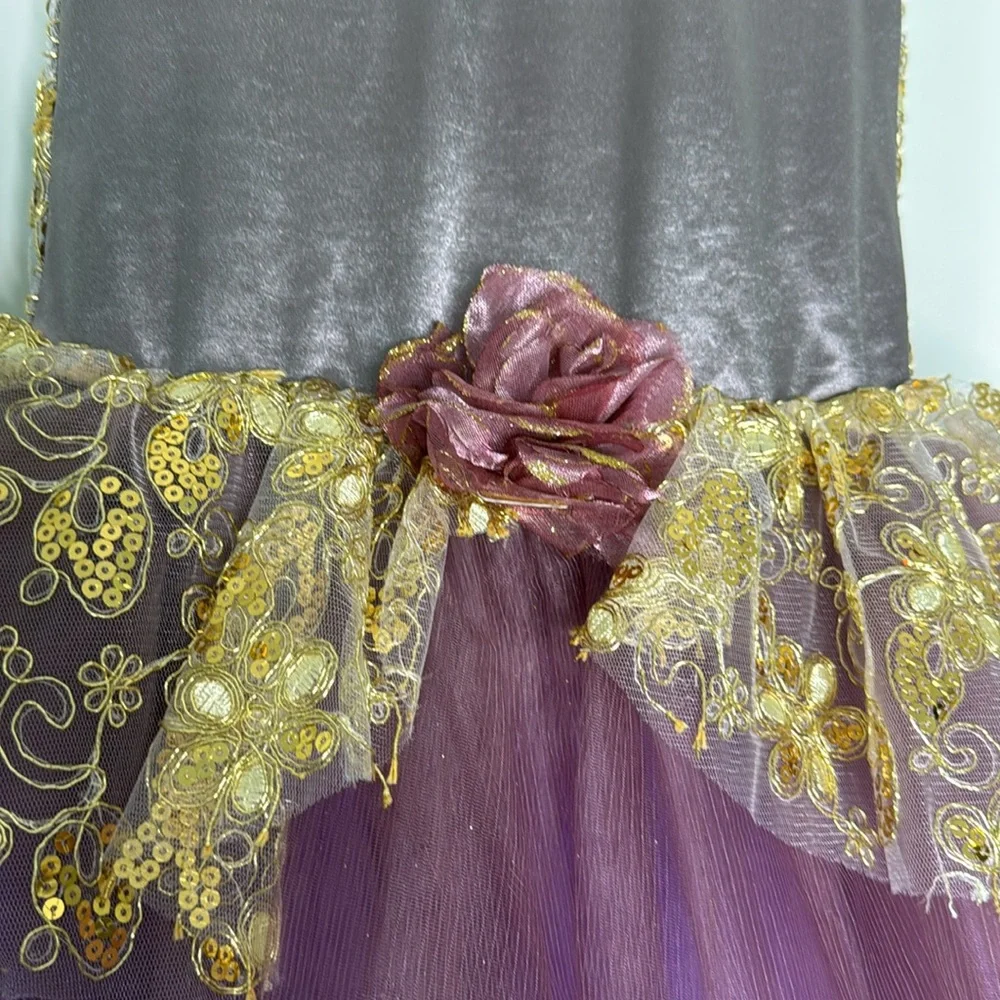 Purple Pointe leotard Tutu Dress Dance Costume Large